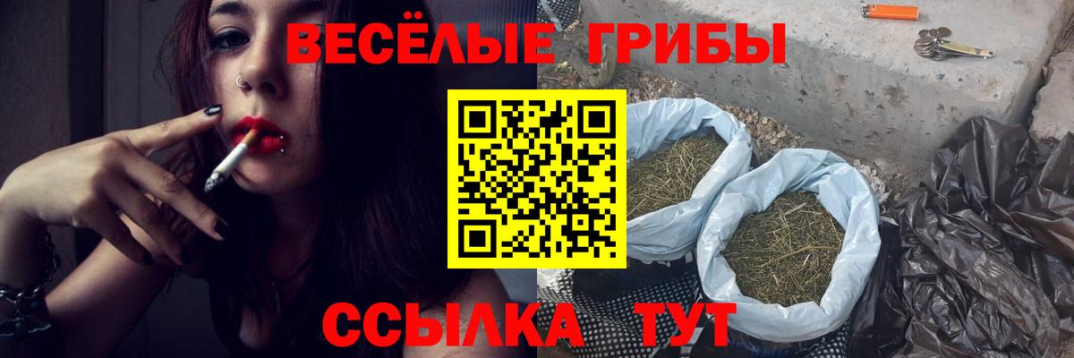 Псилоцибиновые грибы Psilocybe  Вход с VPN  Кувандык 