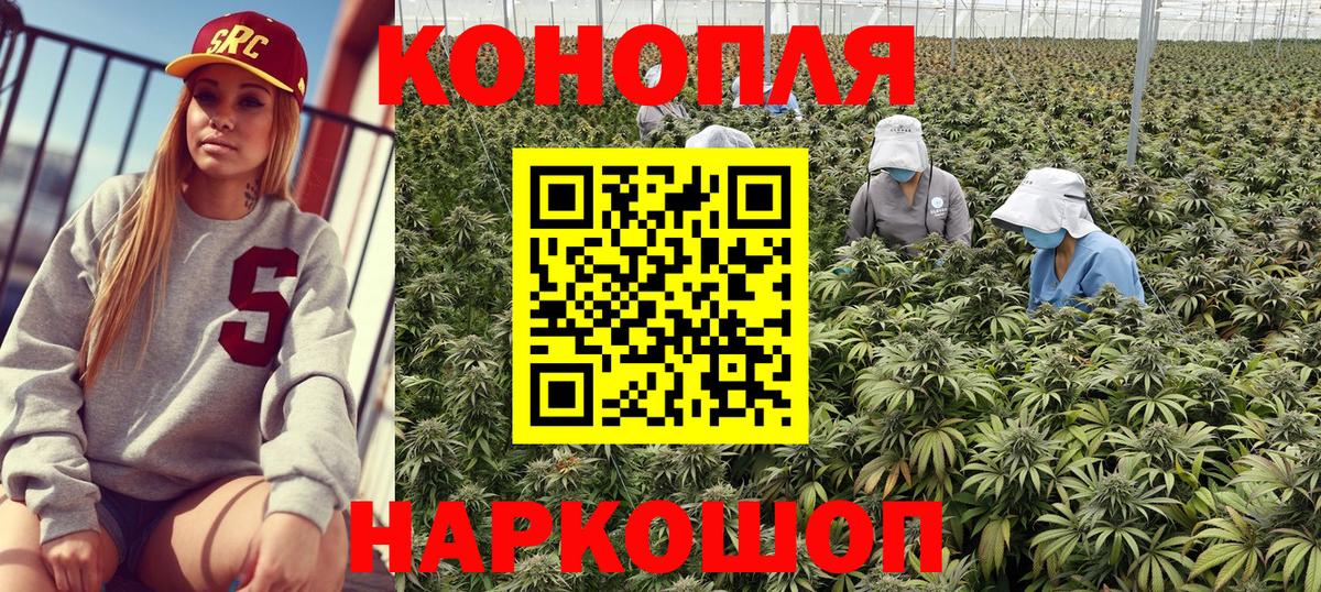 Бошки Шишки марихуана  Шишки марихуана гибрид  Каннабис White Widow  Кувандык  Вход с VPN 